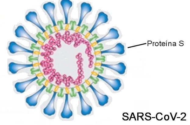 जीव उत्पत्ति, विषाणु और वर्गीकरण 30 महत्वपूर्ण MCQ | UPSC | SSC | UPPCS | 2026 जीव उत्पत्ति, विषाणु और वर्गीकरण के 30 महत्वपूर्ण MCQ UPSC SSC 2026